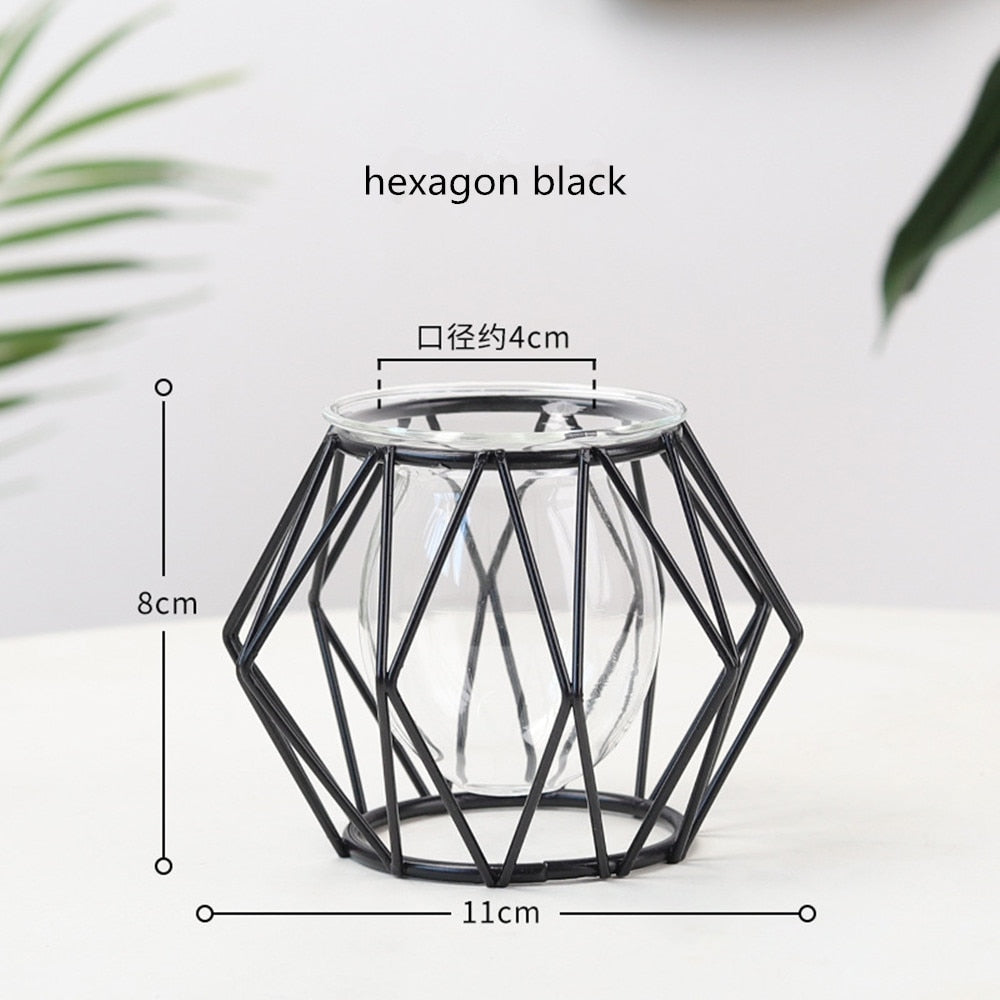 Iron Line Flower Vase Metal Plant Holder Modern Home Decor Vases Ornament Nordic Style Golden Black Glass Hydroponic Container