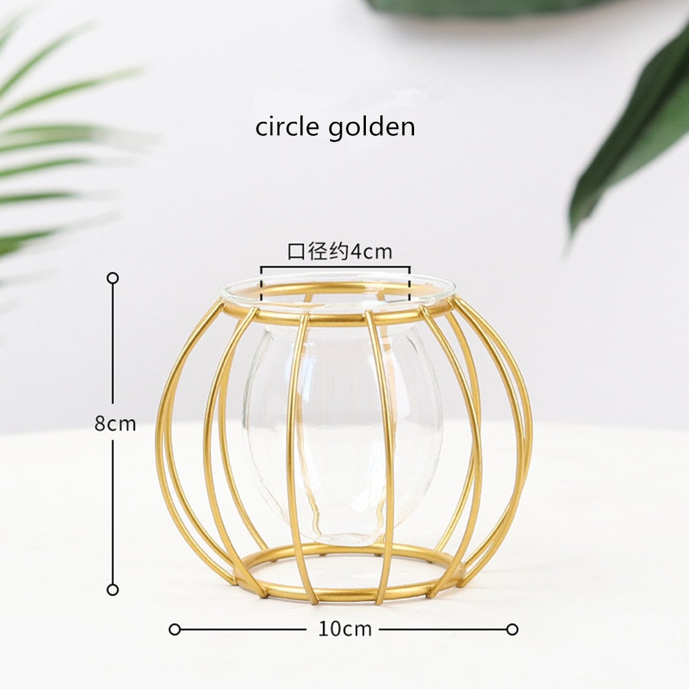 Iron Line Flower Vase Metal Plant Holder Modern Home Decor Vases Ornament Nordic Style Golden Black Glass Hydroponic Container