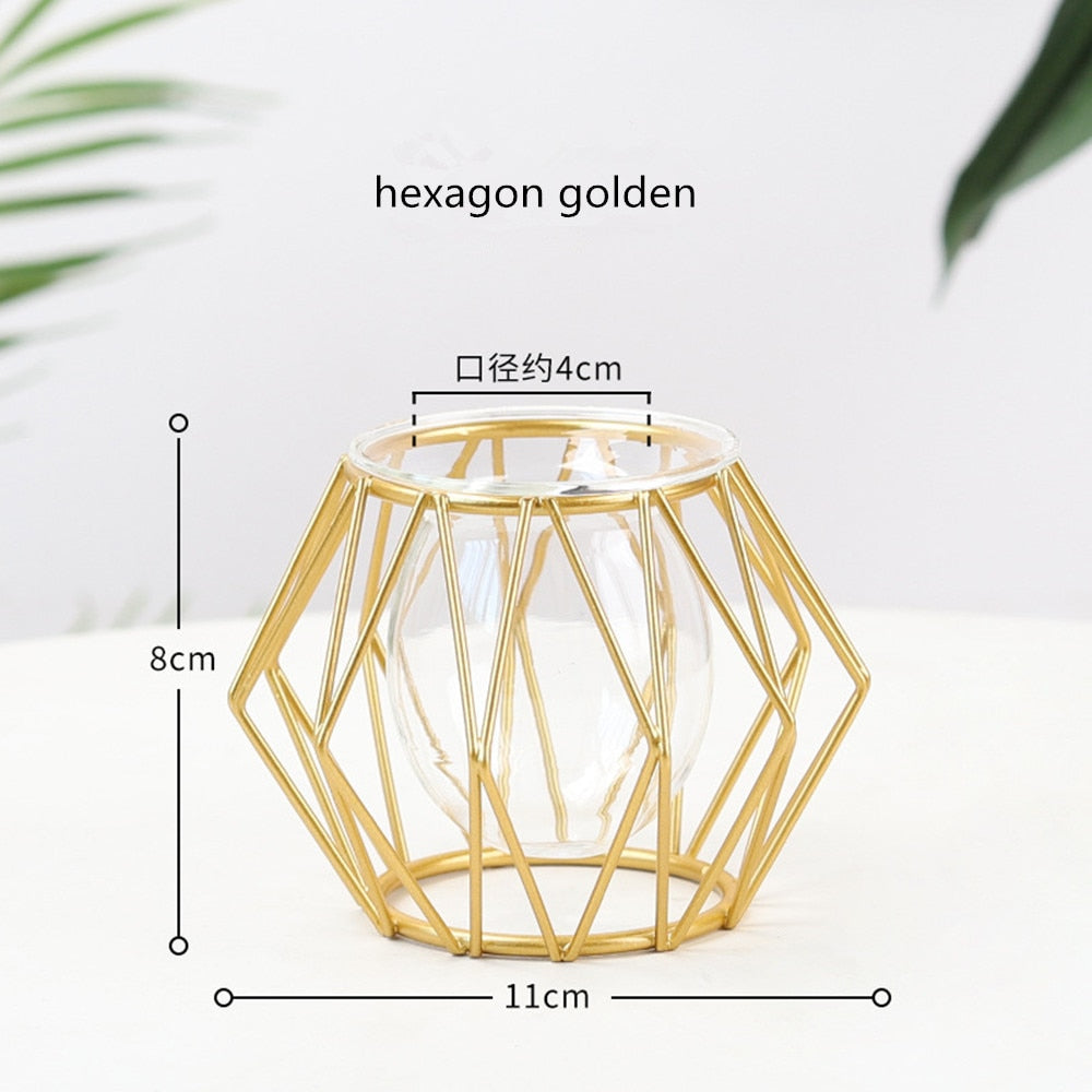 Iron Line Flower Vase Metal Plant Holder Modern Home Decor Vases Ornament Nordic Style Golden Black Glass Hydroponic Container