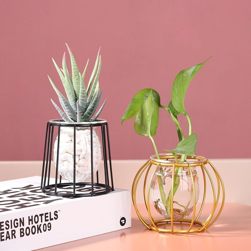 Iron Line Flower Vase Metal Plant Holder Modern Home Decor Vases Ornament Nordic Style Golden Black Glass Hydroponic Container