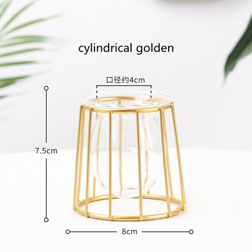 Iron Line Flower Vase Metal Plant Holder Modern Home Decor Vases Ornament Nordic Style Golden Black Glass Hydroponic Container