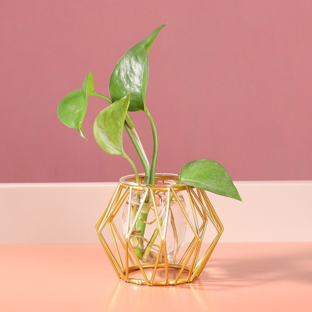 Iron Line Flower Vase Metal Plant Holder Modern Home Decor Vases Ornament Nordic Style Golden Black Glass Hydroponic Container