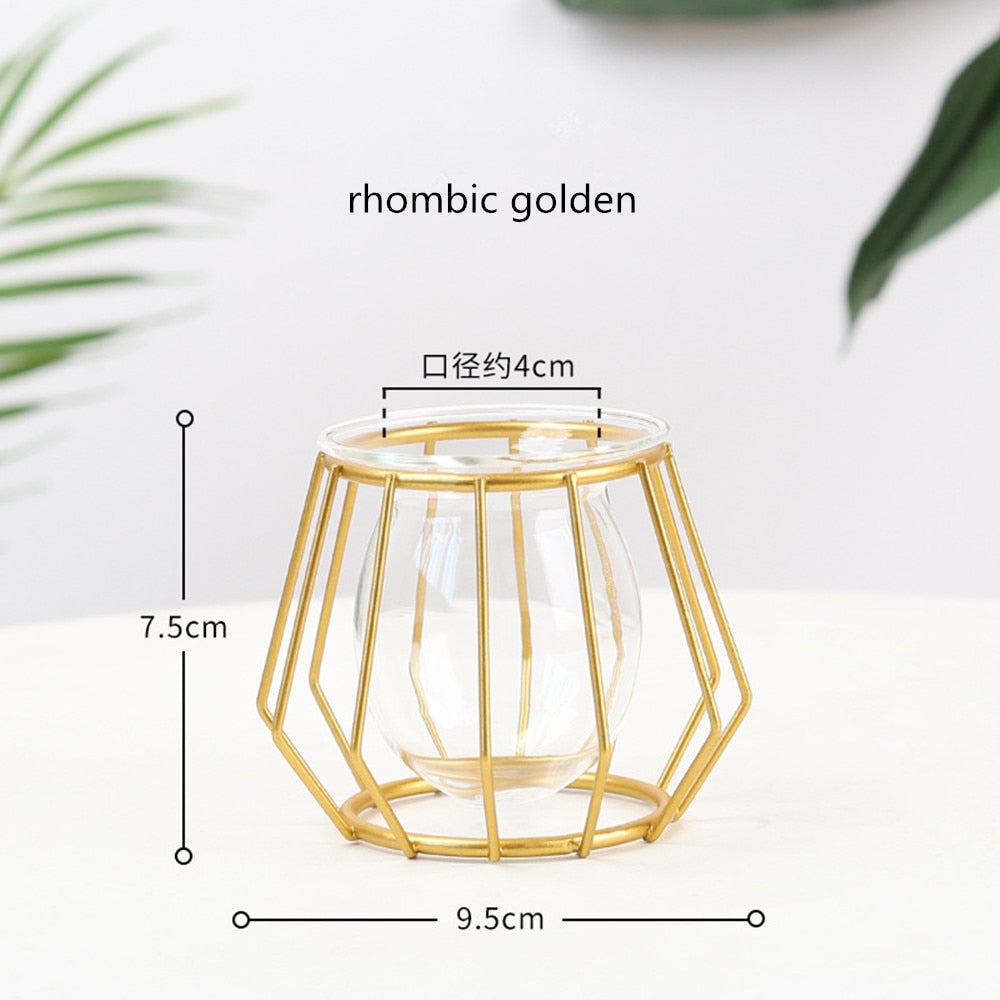Iron Line Flower Vase Metal Plant Holder Modern Home Decor Vases Ornament Nordic Style Golden Black Glass Hydroponic Container